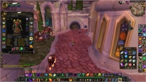 Conta WOW brasil servidor private pvp - Blizzard