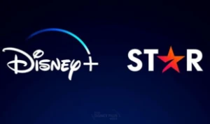 Disney Plus + Star Plus 1 Perfil Privado - Assinaturas e Premium