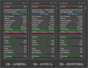 VÁRIOS MAKERS COM SKILL ALTA E LOW LVL - Tibia