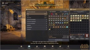 Guardian 273 ap - Black Desert