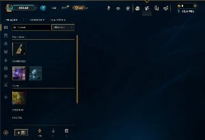 Mestre com 22 Champs e 6 Skins - League of Legends LOL