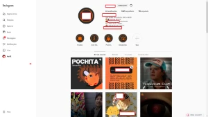 Loja de Drop Geek + IG (1.8K) + Pág (Face) - Outros