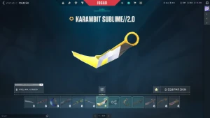 Conta com Vandal Sublime e Karambit sublime 2.0 - Valorant