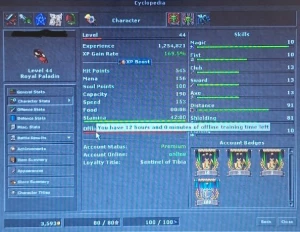 Elite Knight Lvl 100 Axe Skill 92/85 - Tibia