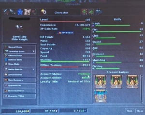 Elite Knight Lvl 100 Axe Skill 92/85 - Tibia