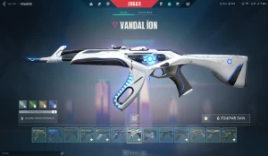 Conta Valorant e lol, 8k gastos no total