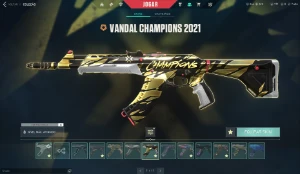 Conta Valorant e lol, 8k gastos no total