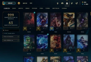 Conta Valorant e lol, 8k gastos no total