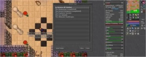 KNIGHT 91 E DRUID 50 EM GARNERA OPEN PVP - Tibia