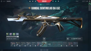Conta Valorant Com Boas Skins