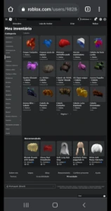 Conta Roblox Com +170 Itens (10 Limited)