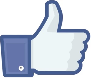 1000 Curtidas no facebook(Page ou foto) - Redes Sociais