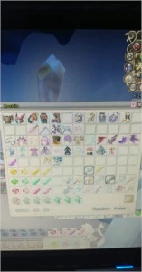 Conta com itens grande fantasia - Grand Fantasia GF