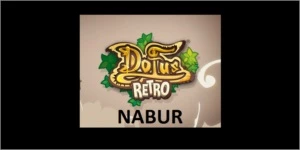 500kk Servidor Nabur - Dofus