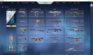 Conta valorant com muitas skins!