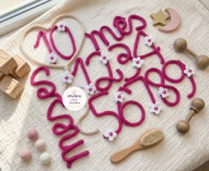 Kit Mêsversário Números com Margaridas + nome - Artesanato e Personalizados