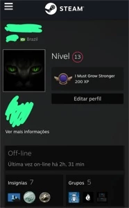 CONTA AK 2 PRIME CS: GO, LEVEL 12 GC, LEVEL 13 STEAM - Counter Strike