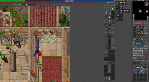Conta Rubinot  Solarian com 4 chares MS RP EM - Tibia