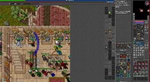Conta Rubinot  Solarian com 4 chares MS RP EM - Tibia