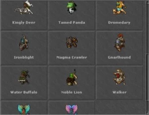 Royal Paladin 365 - Server BR - Descubra - COM RK - Tibia