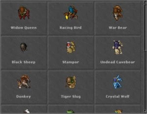 Royal Paladin 365 - Server BR - Descubra - COM RK - Tibia