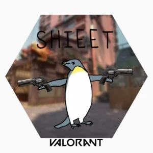 Valorant Hack / Cheat