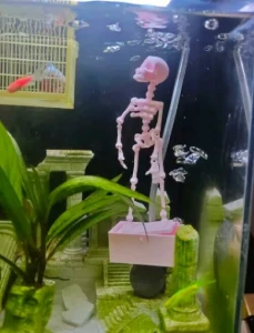 Esqueleto Dançante Decorativo para Aquário em PETG