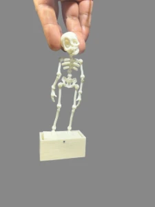 Esqueleto Dançante Decorativo para Aquário em PETG - Artesanato e Personalizados