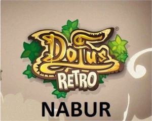 100KK SERVIDOR RETRO (NABUR) - Dofus