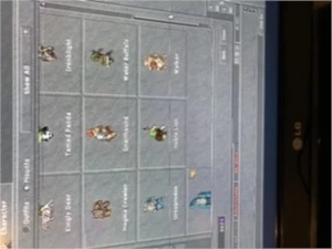 Royal paladin - Tibia