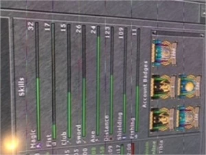 Royal paladin - Tibia