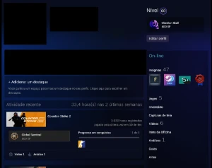 STEAM - LEVEL 60 / 3 Mil horas + CS2 / 8 Anos de serviço - Counter Strike
