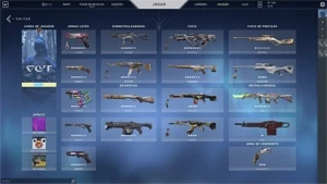 Conta Valorant Platina 3 Todos Pacotes Champions 6500 Gastos