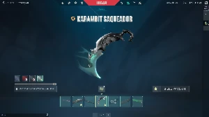 Conta Valorant com Karambit Saqueadora e mais LEIA A DESCRIÇ