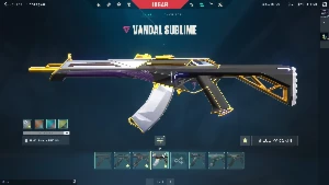 Conta Valorant com Karambit Saqueadora e mais LEIA A DESCRIÇ