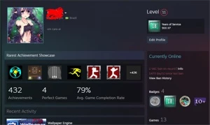 CONTA STEAM 18 ANOS DE SERVIÇO, LV 10, PUBG WALLPAPER ENGINE