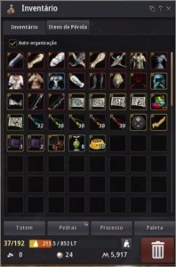 Conta Black Desert SA, Arqueiro/Mago 62, 576 GS 276 PA,300DP