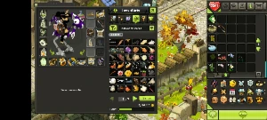 Conta dofus touch