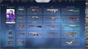 CONTA BETA VALORANT + KARAMBIT SUBLIME 2.0