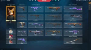 Conta Valorant com Várias Skins