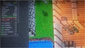 Sell Knight 250 e 255 - Tibia