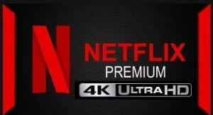 Netflix Premium 4K Ultra HD Individual 30 Dias de Garantia + - Assinaturas e Premium