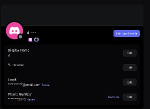 Conta Discord Quadrada Bugada (Lvl 5) - Redes Sociais