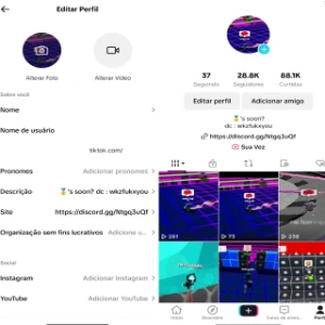 Conta de tiktok 28mil seguidores