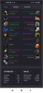 US 60 Human Warrior Bis Raid wow Classic,  Netherwind [US] - Blizzard