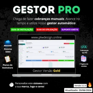 Novo  Gestor pro - Outros