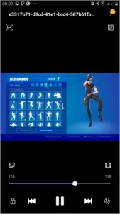 Fortnite com wildcat e wonder