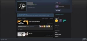 Conta Steam 14 anos+ Prime + Rank Supremo + Medalha 10 anos