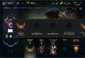 Unranked com TODOS os Champs e 165 Skins  ( Nivel 668 )