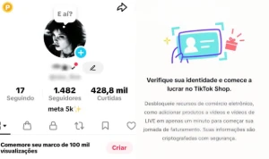 CONTA TIKTOK SHOP 1k a 2k SEGUIDORES BR | SEM DOC - Redes Sociais